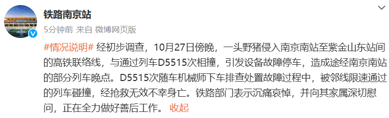 列车撞上野猪，机械师查看时被撞身亡，更多细节公布...