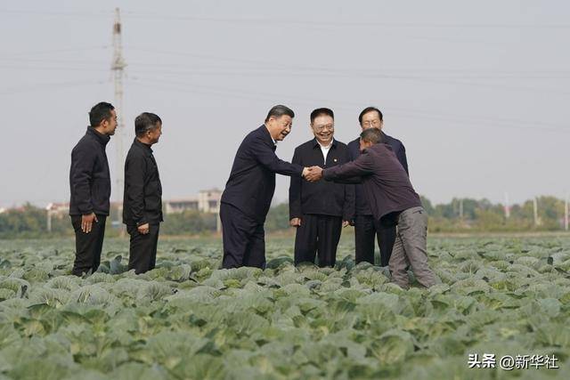 镜观·领航｜循着考察足迹感悟总书记的乡村关切