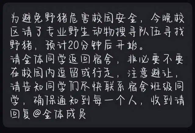 野猪在武汉一大学内横冲直撞 校方回应