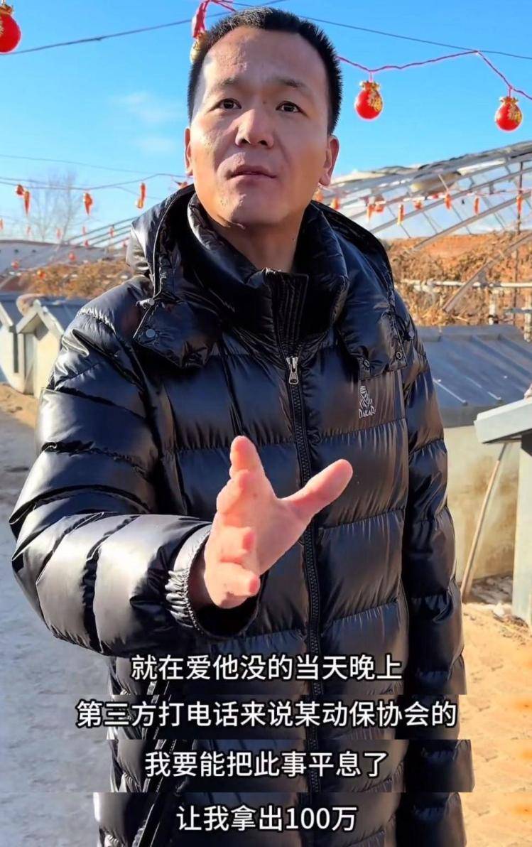 千万粉丝训犬师网红潘宏账号内容被一夜清空，园区所在地官方：正调查