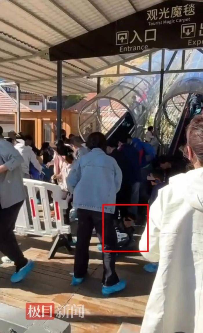 张家口一景区观光魔毯失控，多名游客被甩出，文旅局介入调查