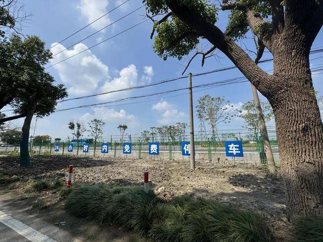 上海著名地标宣布:24小时内可免费停车!