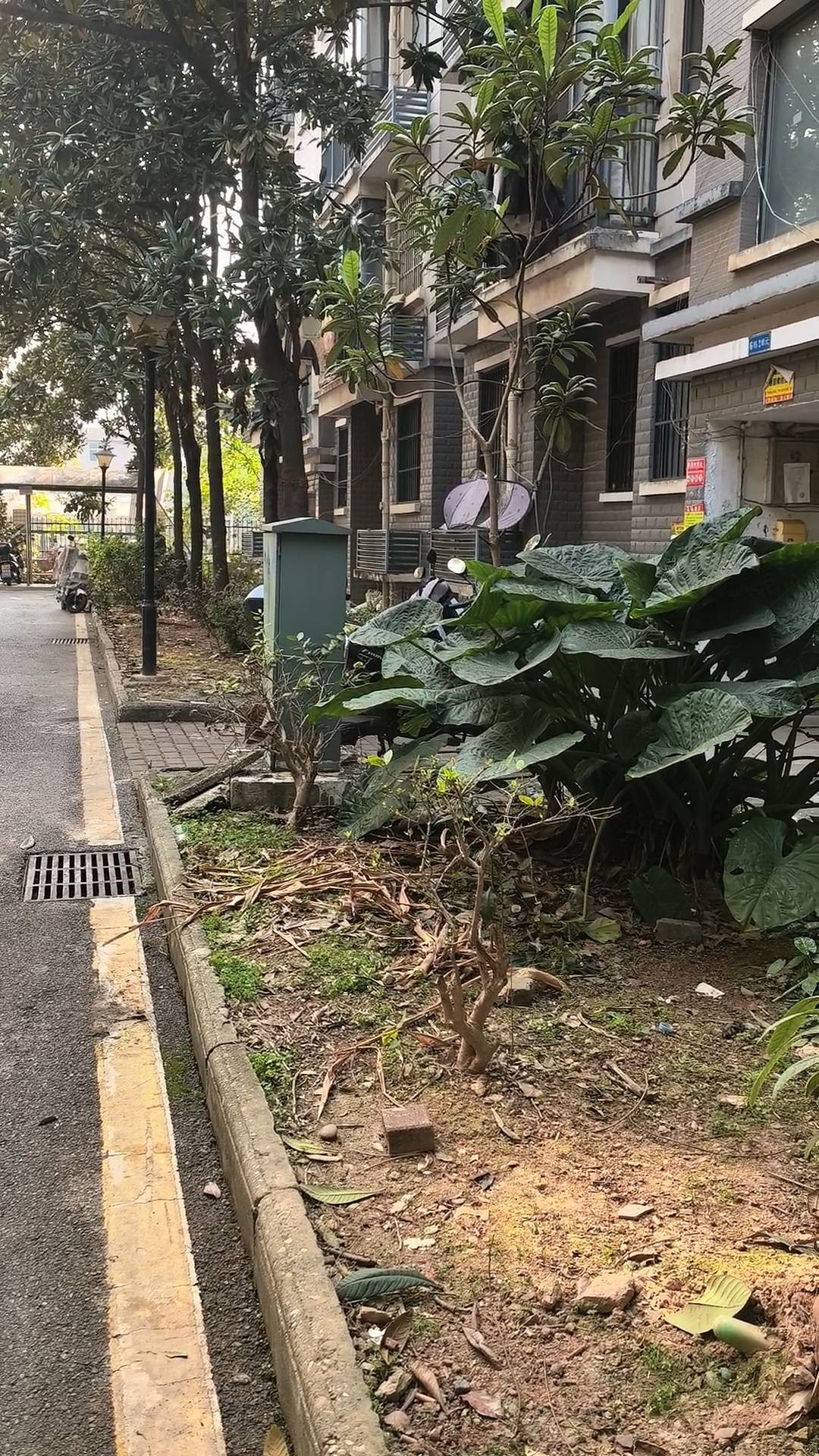 株洲女子夜间遭同小区大狗扑咬，男子从二楼冲下死死摁住肇事狗，众居民：一定要表扬他