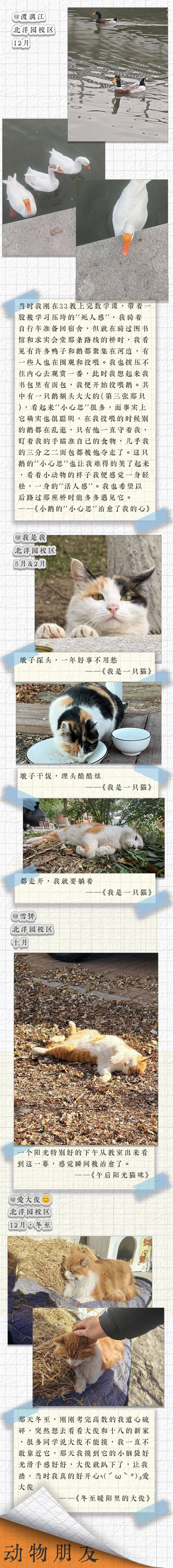2025 瞬间中的我们