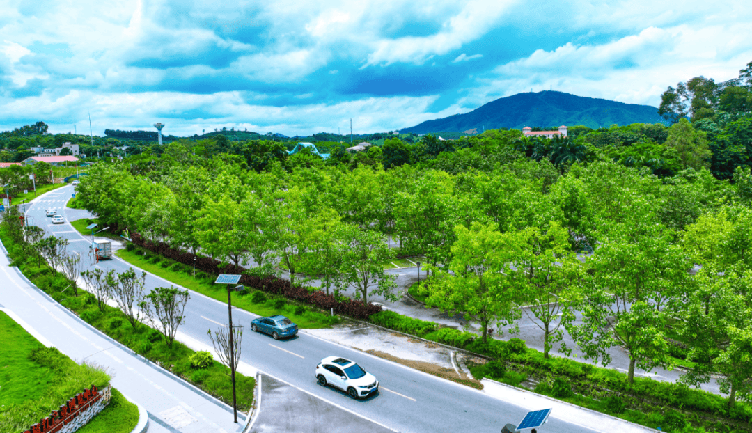 道路为脉，节点为珠！化州精雕交通风貌提升发展新图景 | 粤来粤好百千万