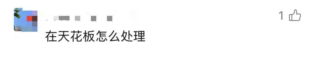 “我家好像有”！广东女子发现家中长出“黑色小刷子”，网友看后炸锅，深圳人速自查