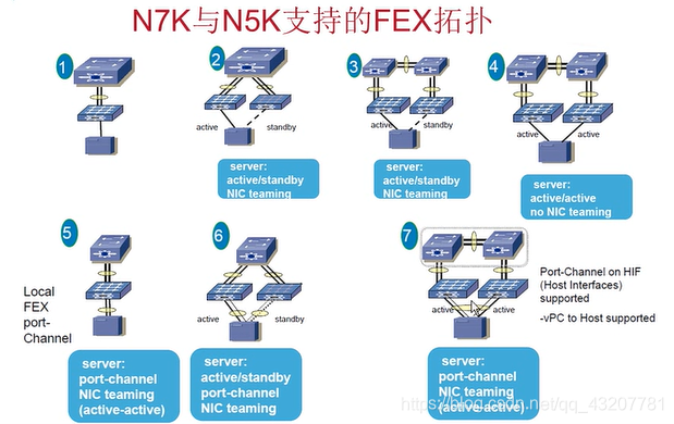 FEX(fexata品牌简介)